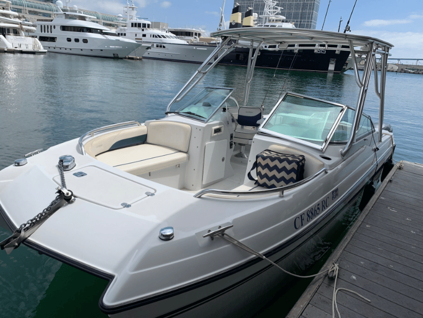 d411083GsLightTackleG船EX1.95m 30号 d411083GsLightTackleG船EX1.95m 30号 【公式通販】